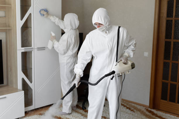 24/7 Emergency Odor Removal experts in Auburn, NY